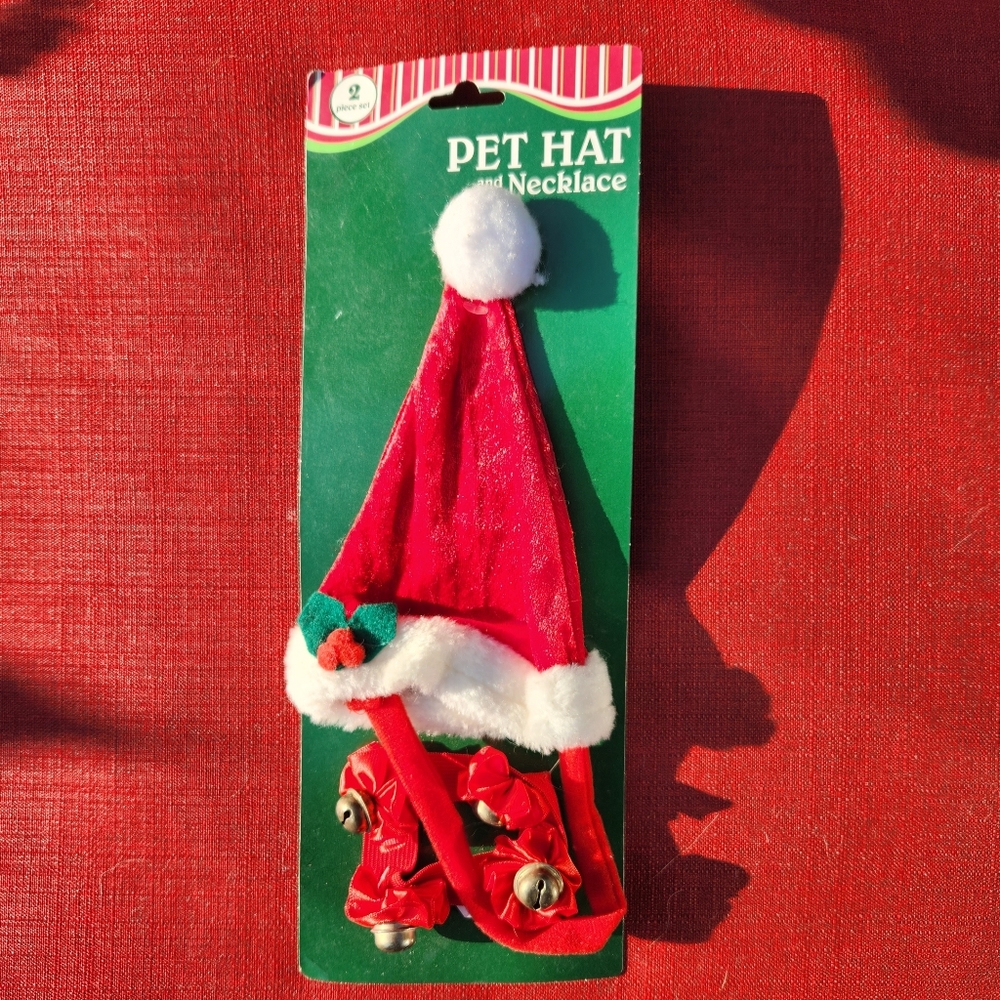 Pet hat and necklace